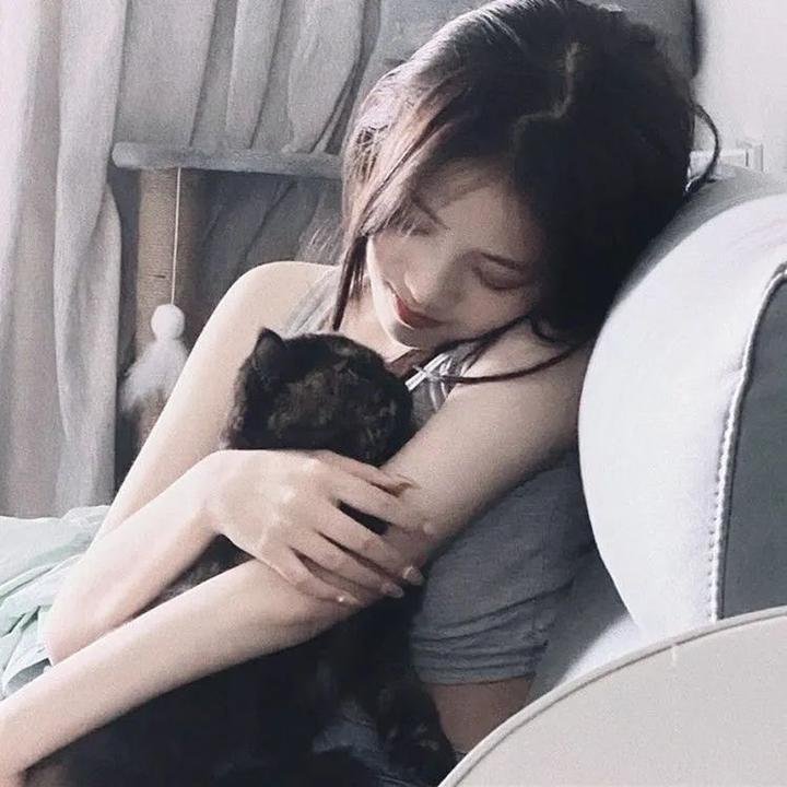 翼龙